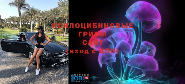 стаф Верхний Тагил